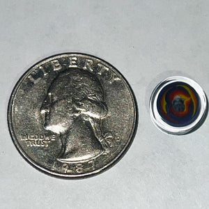 Andy Buckles Bob Snodgrass Coins