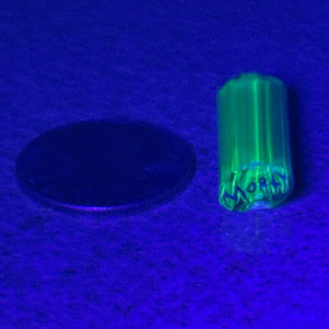 Erik Anders Morty Cane (UV)