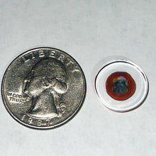 Load image into Gallery viewer, Andy Buckles Bob Snodgrass Coins

