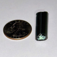 Load image into Gallery viewer, Dave Strobel Non-Glow Blinky Cane
