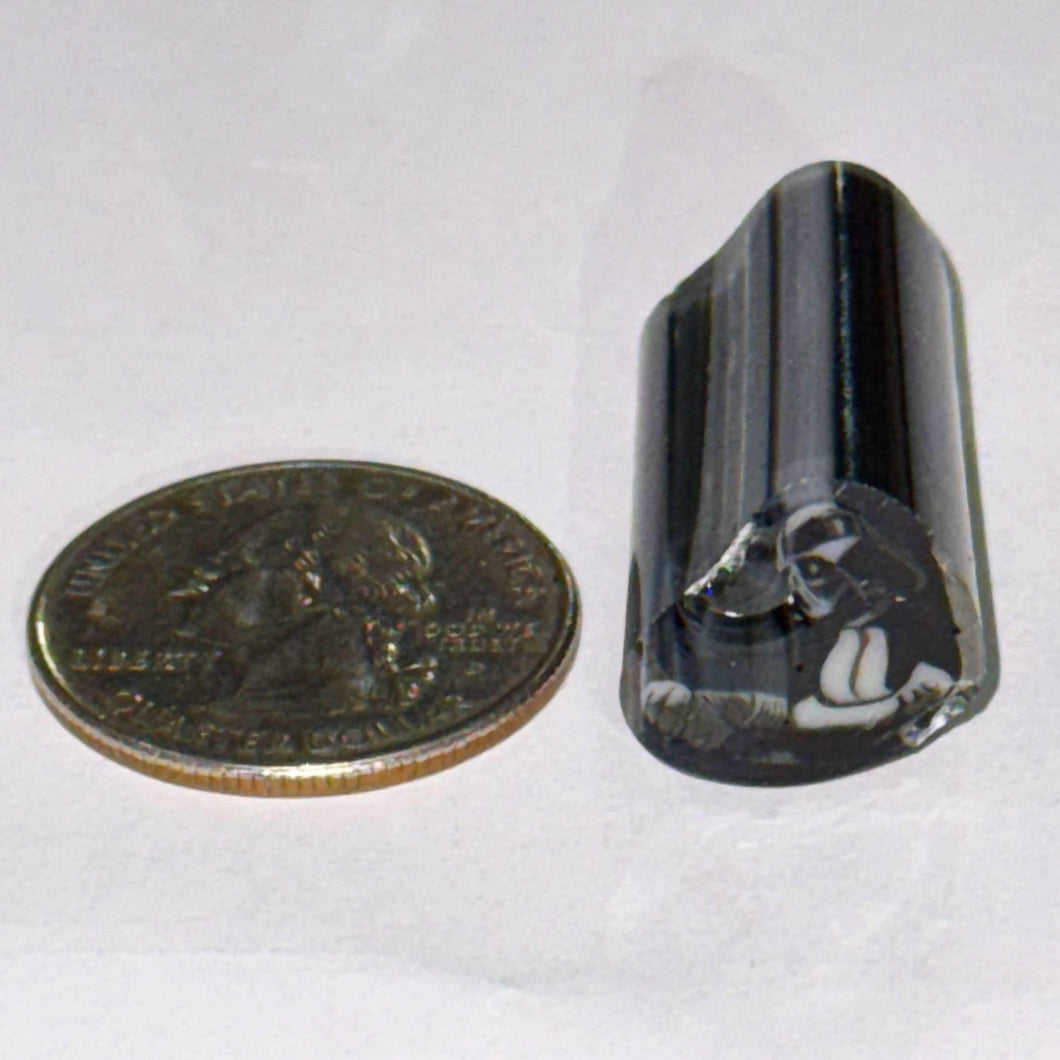 Josh McDaniel Darth Vader Profile Cane