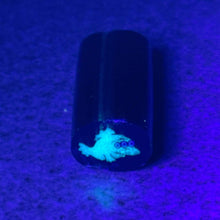 Load image into Gallery viewer, Dave Strobel Glow Blinky with Green Background

