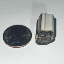 Load image into Gallery viewer, Stephen Boehme Owl Cane
