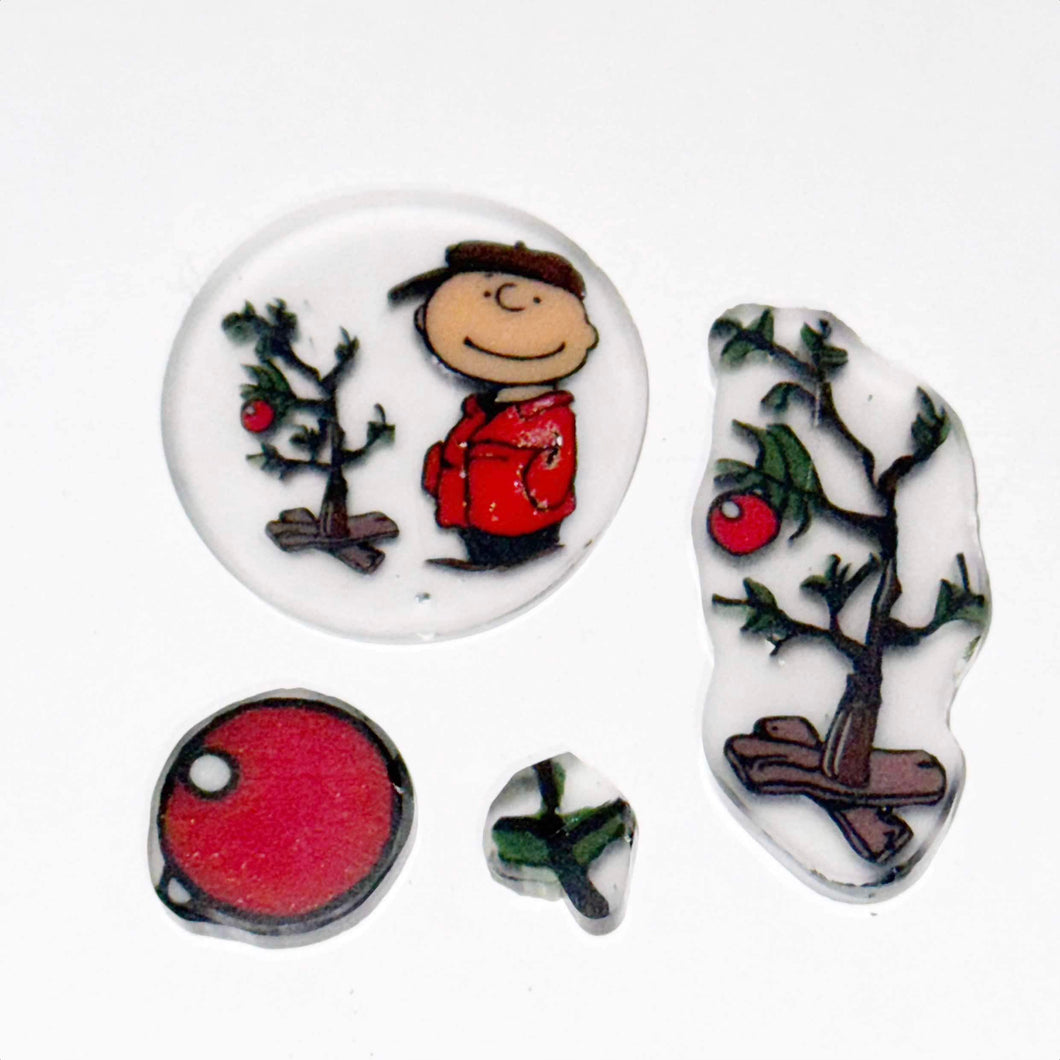 Beth James Charlie Brown Christmas Coin Set