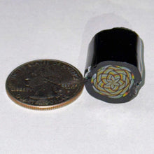 Load image into Gallery viewer, Chris Hubbard Rainbow Weave Cane #2
