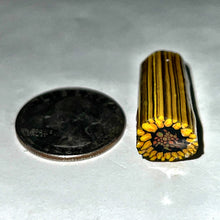 Load image into Gallery viewer, Stephen Boehme Sunflower Cane

