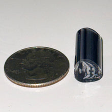 Load image into Gallery viewer, Dave Strobel Angle Fish Cane
