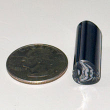 Load image into Gallery viewer, Dave Strobel Angle Fish Cane
