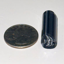 Load image into Gallery viewer, Dave Strobel Angle Fish Cane
