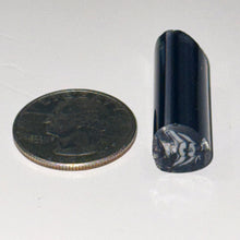 Load image into Gallery viewer, Dave Strobel Angle Fish Cane
