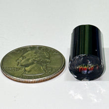 Load image into Gallery viewer, Dave Strobel Phish Cane
