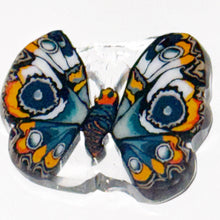 Load image into Gallery viewer, Stephen Boehme Buckeye Butterfly Coin
