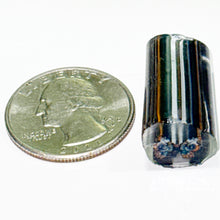 Load image into Gallery viewer, Stephen Boehme Buckeye Butterfly Cane
