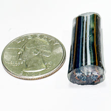 Load image into Gallery viewer, Stephen Boehme Buckeye Butterfly Cane
