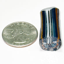 Load image into Gallery viewer, Stephen Boehme Buckeye Butterfly Cane
