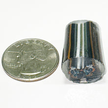 Load image into Gallery viewer, Stephen Boehme Buckeye Butterfly Cane
