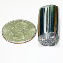 Load image into Gallery viewer, Stephen Boehme Buckeye Butterfly Cane
