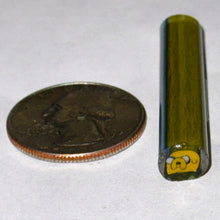 Load image into Gallery viewer, Josh Ford Jake and Finn Cane
