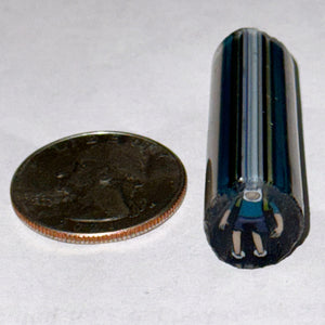Stephen Boehme Finn the Human Cane