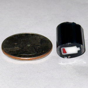 Josh Ford Dead Battery Cane