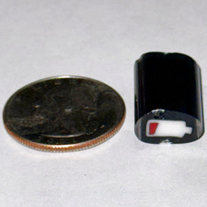 Josh Ford Dead Battery Cane