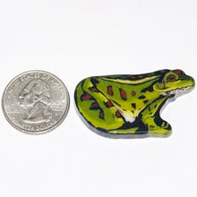 Load image into Gallery viewer, Stephen Boehme Frog Coin
