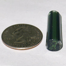 Load image into Gallery viewer, Beth James Creepers Cane
