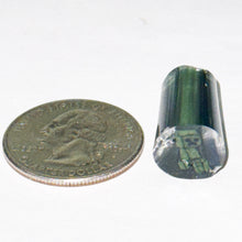 Load image into Gallery viewer, Beth James Creepers Cane
