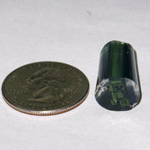 Load image into Gallery viewer, Beth James Creepers Cane
