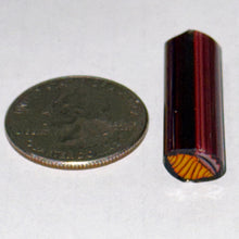 Load image into Gallery viewer, Dave Strobel Conch Shell Cane
