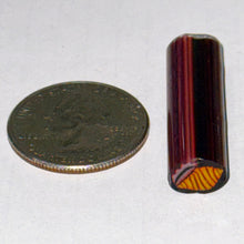 Load image into Gallery viewer, Dave Strobel Conch Shell Cane
