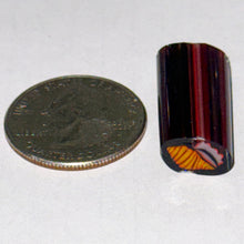 Load image into Gallery viewer, Dave Strobel Conch Shell Cane
