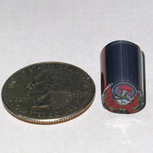 Load image into Gallery viewer, Dave Strobel Steal Your Fungi Cane
