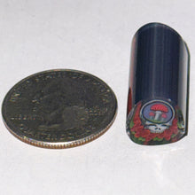 Load image into Gallery viewer, Dave Strobel Steal Your Fungi Cane
