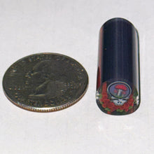 Load image into Gallery viewer, Dave Strobel Steal Your Fungi Cane
