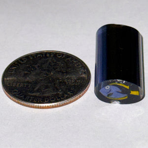 Dave Strobel Blue Tang Fish Cane