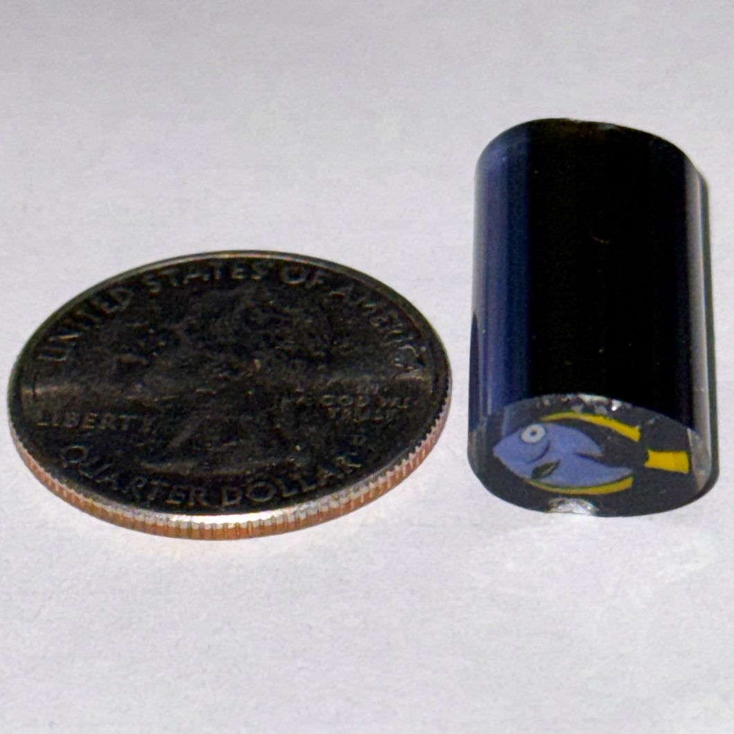 Dave Strobel Blue Tang Fish Cane