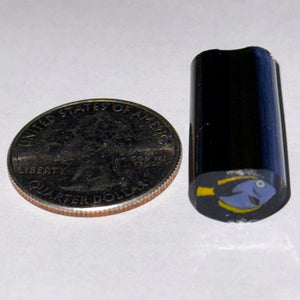 Dave Strobel Blue Tang Fish Cane