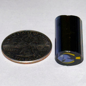 Dave Strobel Blue Tang Fish Cane