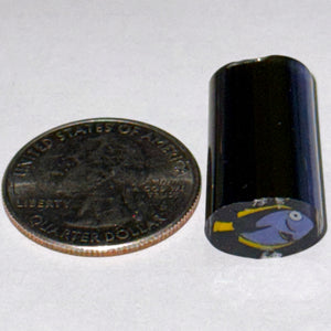 Dave Strobel Blue Tang Fish Cane