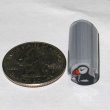 Load image into Gallery viewer, Malachi Wilkinson Puffin Cane
