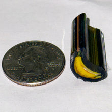 Load image into Gallery viewer, Stephen Boehme Banana Cane
