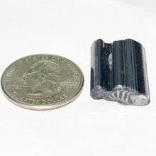 Load image into Gallery viewer, Stephen Boehme Convict Fish Cane
