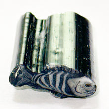 Load image into Gallery viewer, Stephen Boehme Convict Fish Cane
