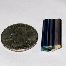 Load image into Gallery viewer, Stephen Boehme Trigger Fish Cane
