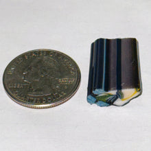 Load image into Gallery viewer, Stephen Boehme Trigger Fish Cane
