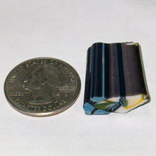 Load image into Gallery viewer, Stephen Boehme Trigger Fish Cane
