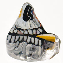 Load image into Gallery viewer, Stephen Boehme Bat Country Paperweight
