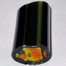 Load image into Gallery viewer, Dave Strobel Fish Cane
