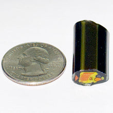 Load image into Gallery viewer, Dave Strobel Fish Cane
